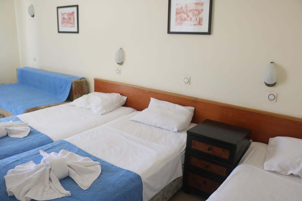 Garni Hotel Vila Aleksandar تْشيرسيك نوفي المظهر الخارجي الصورة
